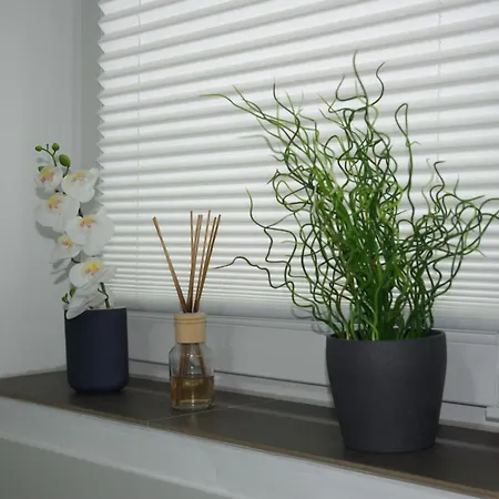 Am Hermann Apartment *